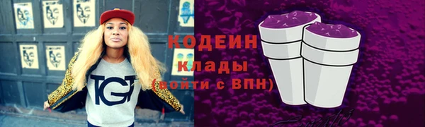 дживик Бронницы