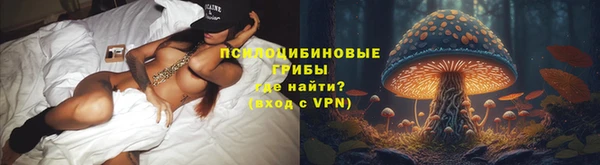 ешки Богородицк