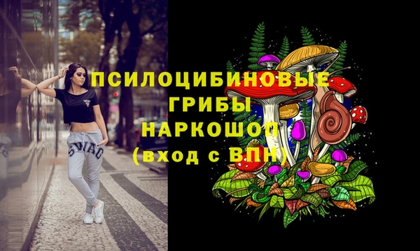 ешки Богородицк