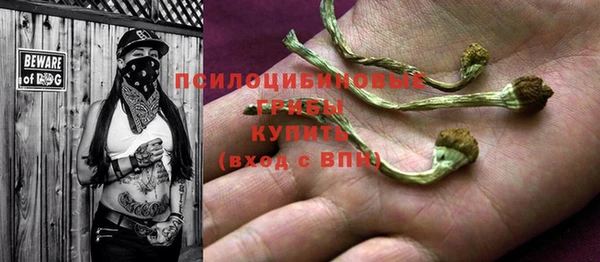 эйфоретик Беломорск