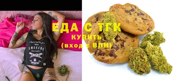 дживик Бронницы