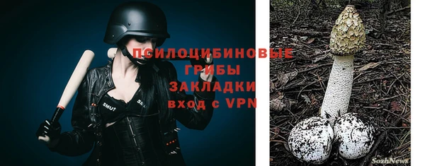 mix Богородск