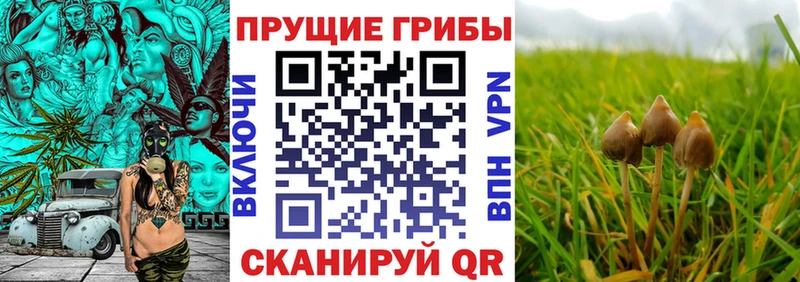 мега ТОР Дзержинский Галлюциногенные грибы GOLDEN TEACHER
